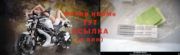 ешки Белокуриха