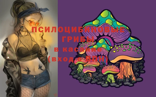не бодяженный Беломорск