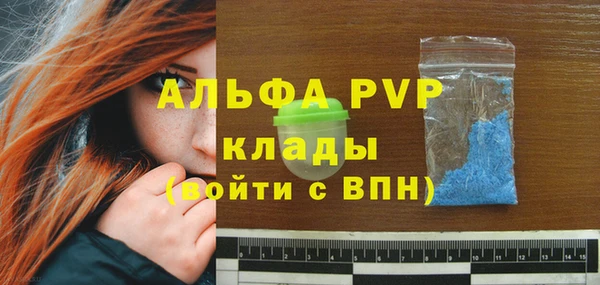 ешки Белокуриха