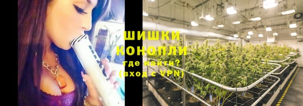 ешки Белокуриха