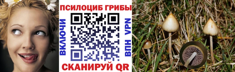 Псилоцибиновые грибы мицелий  blacksprut рабочий сайт  Яхрома 